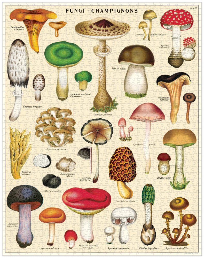 Cavallini & Co. 1000 Piece Puzzle - Mushrooms