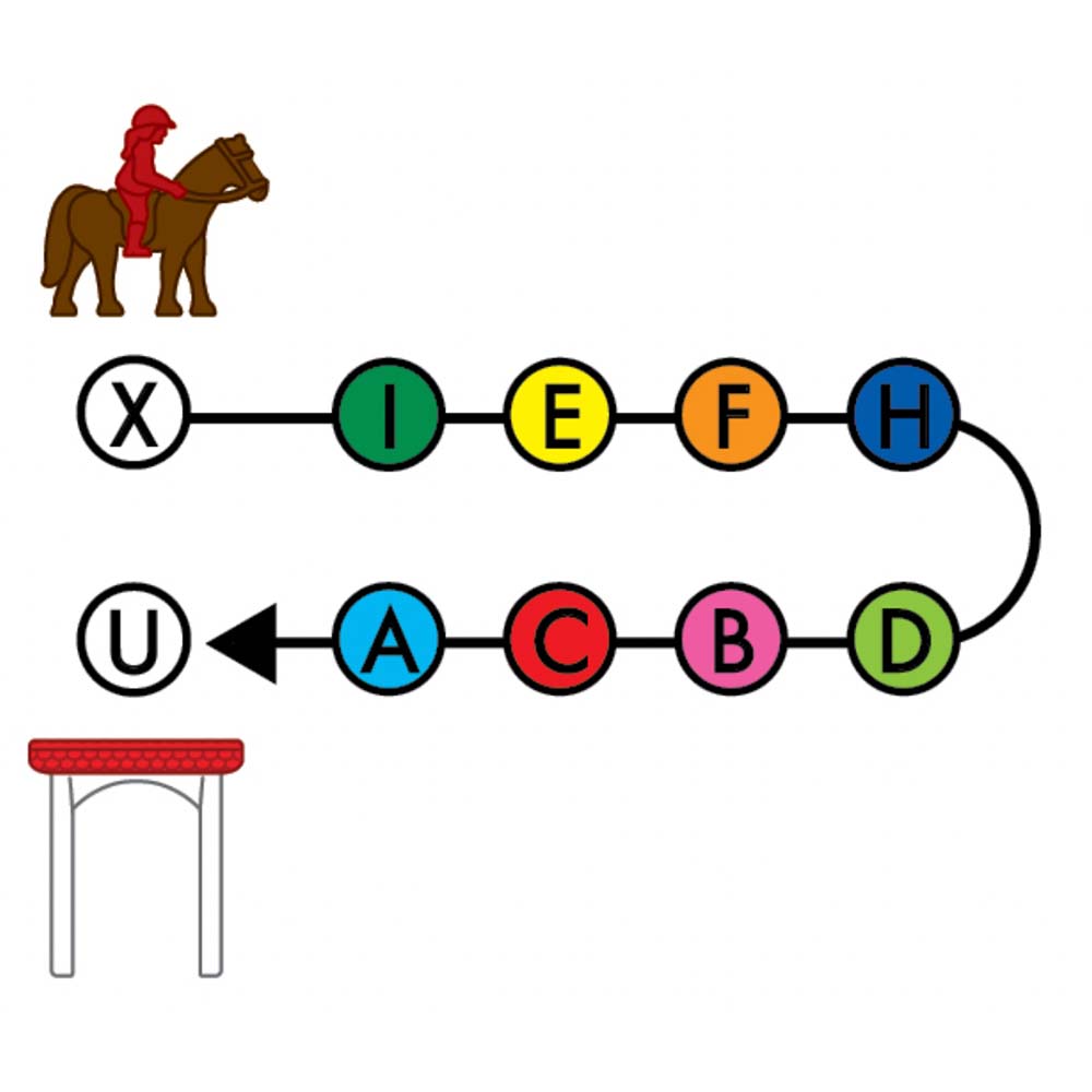 Horse Academy - SmartGames